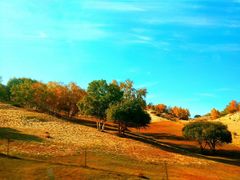 -塞罕坝国家级自然保护区