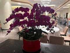 -张生记(丁香国际店)