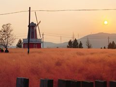 -羊亭河湿地公园