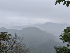 -大岭沟猕猴桃谷风景区