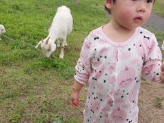 -泰生小镇旅游景区