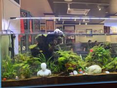 -阿莉餐厅(枣阳路店)