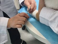 -皮特动物医院(24小时店)