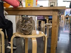 -龙华素斋(龙华路店)