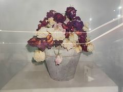 -内蒙古美术馆