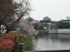 -水绘园