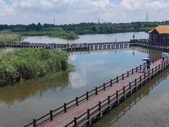 -宁波杭州湾国家湿地公园