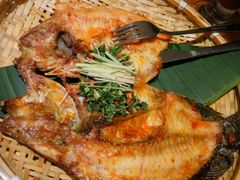 -云海肴·汽锅鸡·云南菜(天津国金汇店)