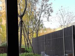 -康莱德酒店·美庭自助餐厅