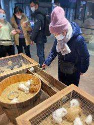 -酷嗒动物文化乐园(cutezoo西溪乐天城店)