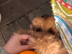 -半坡九号老挝冰咖啡