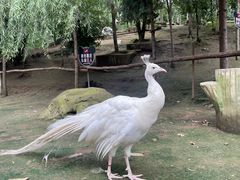 -哈尔滨北方森林动物园