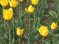 -长春公园(普阳街道)