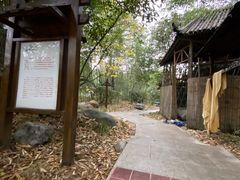 -咸宁万豪温泉谷度假区