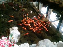 -舜耕山庄四时万和自助餐厅