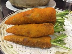 -丁老爷子苏香圆