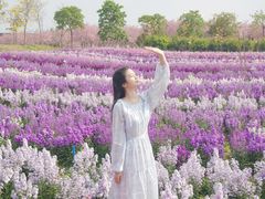 -天适樱花悠乐园
