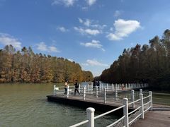 -上海海湾国家森林公园