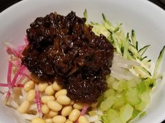 炸酱面-北平盛世·新京菜·北京烤鸭(劲松·双井店)