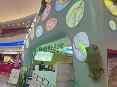 -上海大自然野生昆虫馆(东方明珠·爬宠昆虫探索中心)