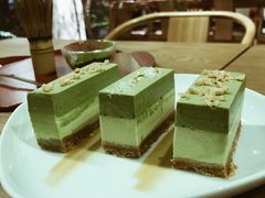 -柴务处·柴犬主题狗咖