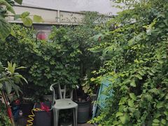 -小时光咖啡馆(北锣鼓巷店)