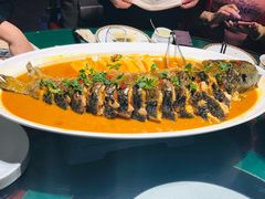 开冰鱼-九十九顶毡房(阜石路店)