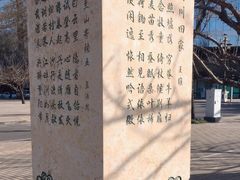 -唐城墙遗址公园