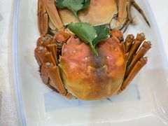 -有腥气私房菜·寻味顺德