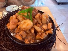 -丁老爷子苏香圆