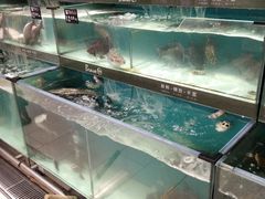 -Bravo永辉(爱琴海购物公园店)