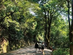 -鼎湖山风景区