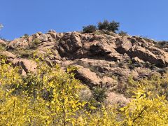 -红山国家森林公园