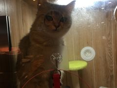 -八公叔叔宠物美容连锁(春申店)