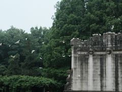 -音乐台