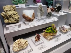 -湖南省地质博物馆