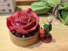 掌心玫瑰-哈根达斯(深圳海岸城店)