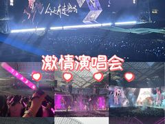 -沈阳奥林匹克体育中心