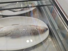 -掌勺人鱼馆(朝阳镇店)