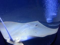 -五缘湾悦都汇购物中心