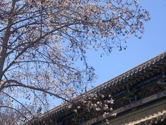 -碑林公园