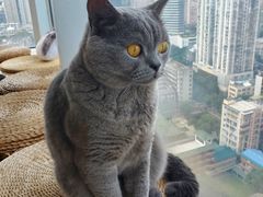 -Catmate·猫肥家润(金润铂宫店)