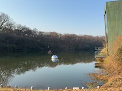 -南京四方酒店-傲途格精选·椽宫中餐厅