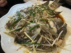 -草墩罗非鱼庄•野生菌•腊排骨(七星街上段店)