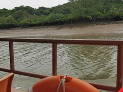 -东寨港红树林旅游区