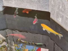 -西安市广仁寺