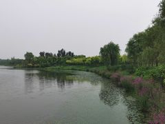 -东郊湿地公园