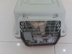 -天宠宠物医院24小时·急重症诊疗中心·全科·腔镜特色(和平分院)