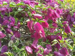 android_upload_pic-集美学村