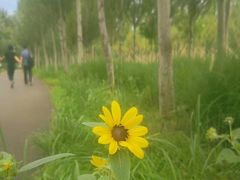 -东郊湿地公园